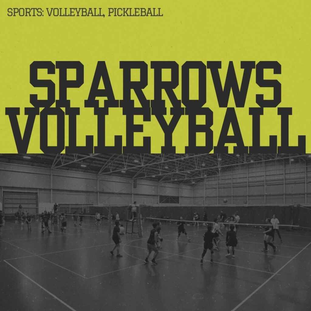 indoor sports programs parramatta